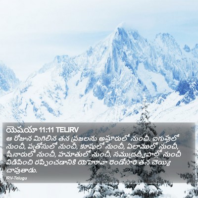 యెషయా 11:11 TELIRV Bible Verse Image