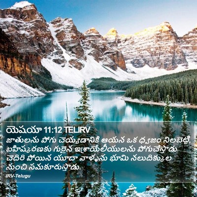 యెషయా 11:12 TELIRV Bible Verse Image