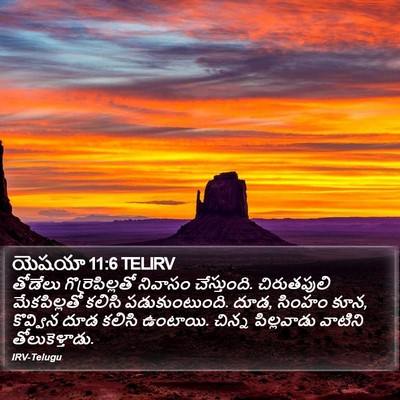 యెషయా 11:6 TELIRV Bible Verse Image