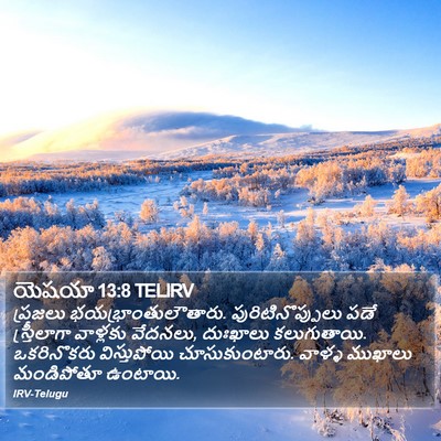 యెషయా 13:8 TELIRV Bible Verse Image
