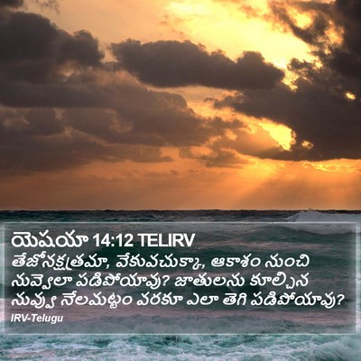 యెషయా 14:12 TELIRV Bible Verse Image