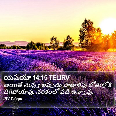 యెషయా 14:15 TELIRV Bible Verse Image