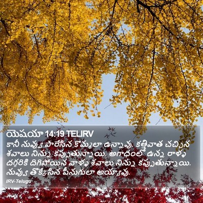 యెషయా 14:19 TELIRV Bible Verse Image