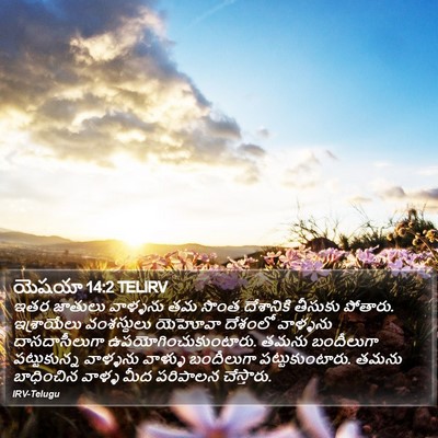 యెషయా 14:2 TELIRV Bible Verse Image