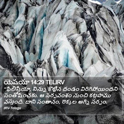 యెషయా 14:29 TELIRV Bible Verse Image
