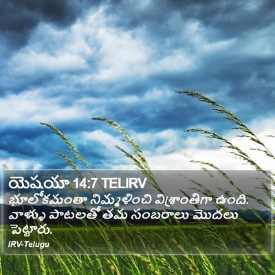 యెషయా 14:7 TELIRV Bible Verse Image