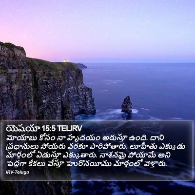 యెషయా 15:5 TELIRV Bible Verse Image