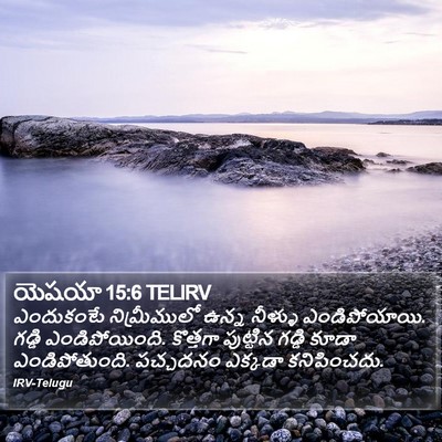 యెషయా 15:6 TELIRV Bible Verse Image