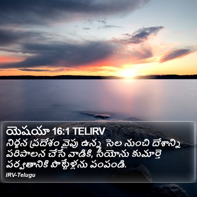 యెషయా 16:1 TELIRV Bible Verse Image