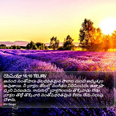 యెషయా 16:10 TELIRV Bible Verse Image