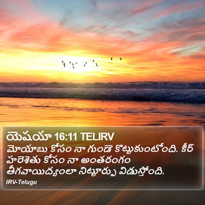 యెషయా 16:11 TELIRV Bible Verse Image