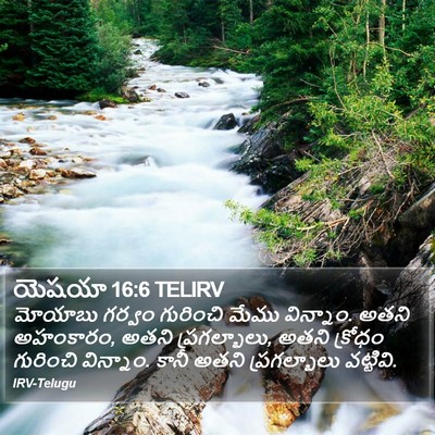 యెషయా 16:6 TELIRV Bible Verse Image