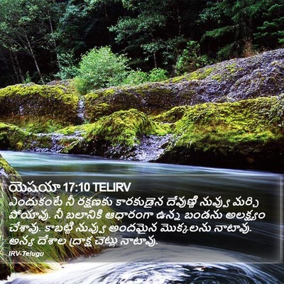 యెషయా 17:10 TELIRV Bible Verse Image
