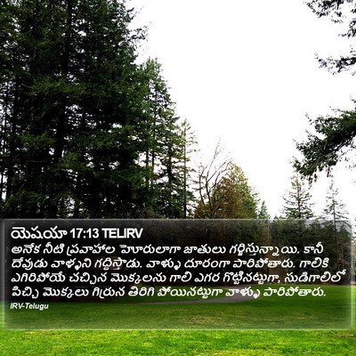 యెషయా 17:13 TELIRV Bible Verse Image