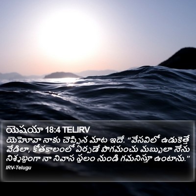 యెషయా 18:4 TELIRV Bible Verse Image