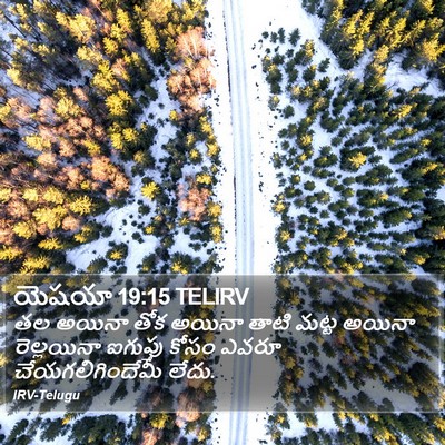 యెషయా 19:15 TELIRV Bible Verse Image