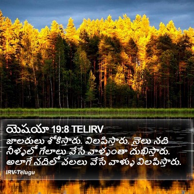 యెషయా 19:8 TELIRV Bible Verse Image