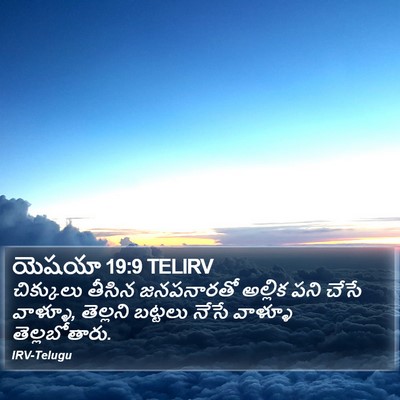 యెషయా 19:9 TELIRV Bible Verse Image