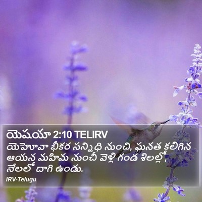 యెషయా 2:10 TELIRV Bible Verse Image