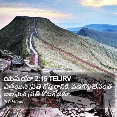 యెషయా 2:15 TELIRV Bible Verse Image