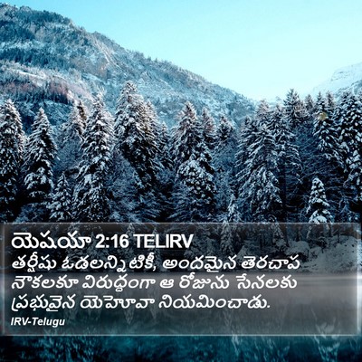 యెషయా 2:16 TELIRV Bible Verse Image