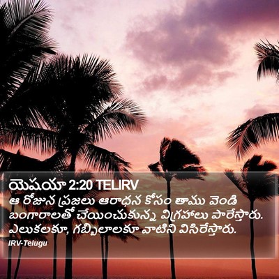 యెషయా 2:20 TELIRV Bible Verse Image