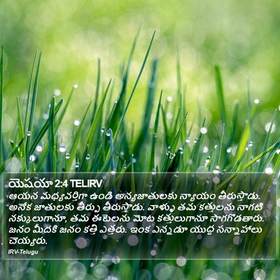 యెషయా 2:4 TELIRV Bible Verse Image
