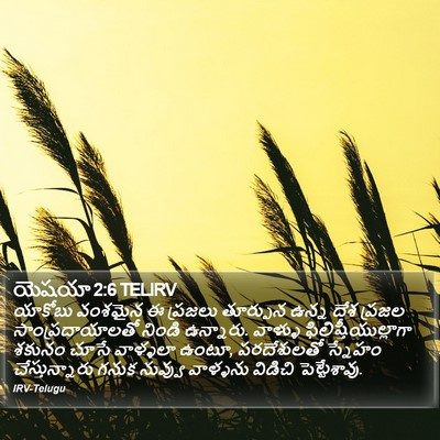 యెషయా 2:6 TELIRV Bible Verse Image