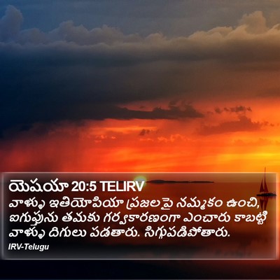 యెషయా 20:5 TELIRV Bible Verse Image