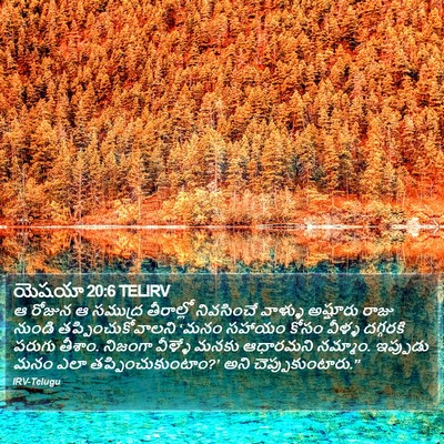యెషయా 20:6 TELIRV Bible Verse Image