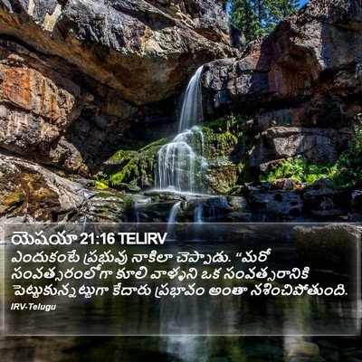 యెషయా 21:16 TELIRV Bible Verse Image