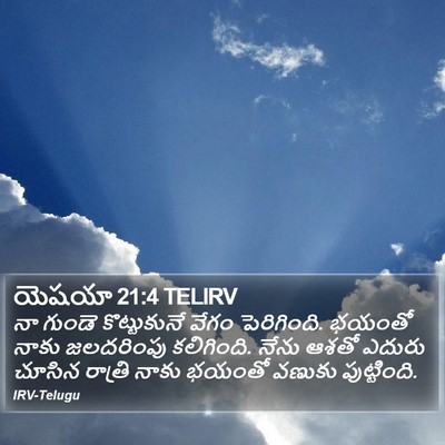 యెషయా 21:4 TELIRV Bible Verse Image