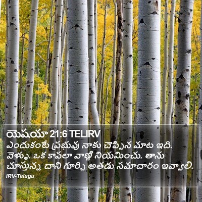 యెషయా 21:6 TELIRV Bible Verse Image