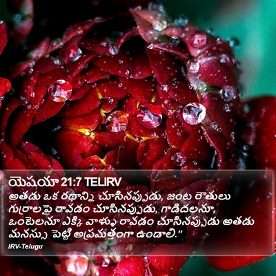యెషయా 21:7 TELIRV Bible Verse Image