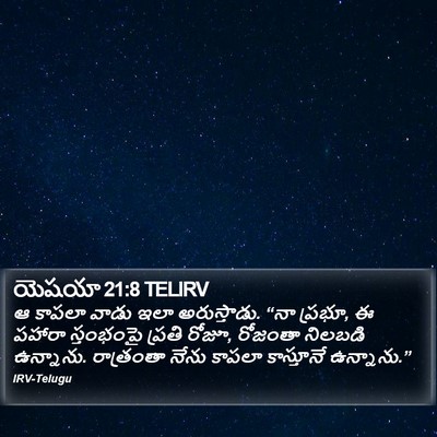 యెషయా 21:8 TELIRV Bible Verse Image