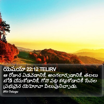 యెషయా 22:12 TELIRV Bible Verse Image