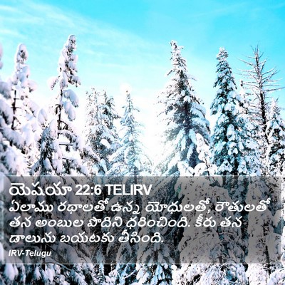 యెషయా 22:6 TELIRV Bible Verse Image