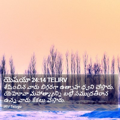 యెషయా 24:14 TELIRV Bible Verse Image