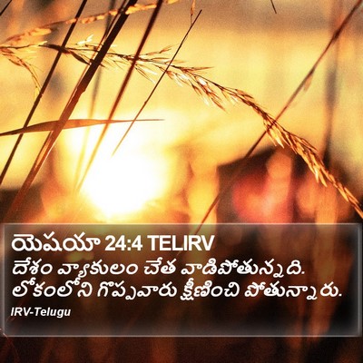 యెషయా 24:4 TELIRV Bible Verse Image