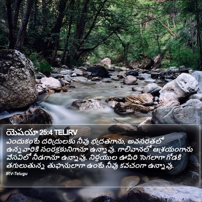 యెషయా 25:4 TELIRV Bible Verse Image