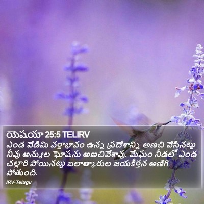 యెషయా 25:5 TELIRV Bible Verse Image