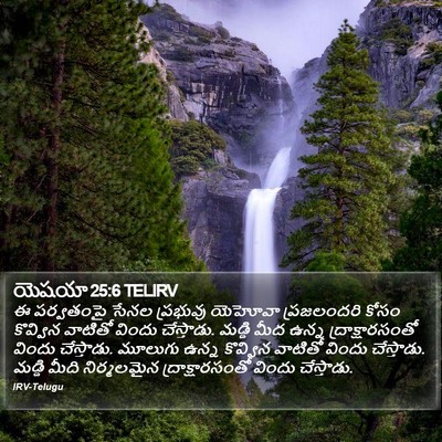 యెషయా 25:6 TELIRV Bible Verse Image