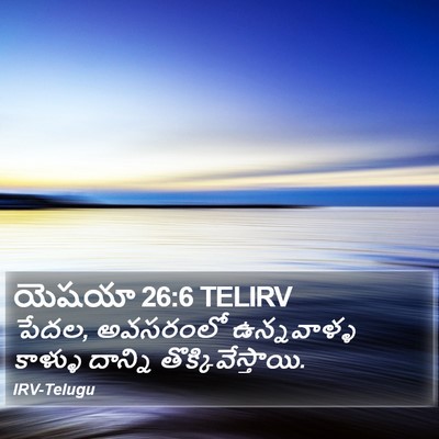 యెషయా 26:6 TELIRV Bible Verse Image