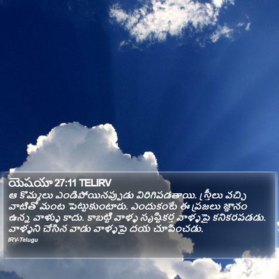 యెషయా 27:11 TELIRV Bible Verse Image