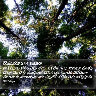 యెషయా 27:4 TELIRV Bible Verse Image
