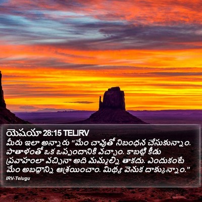 యెషయా 28:15 TELIRV Bible Verse Image