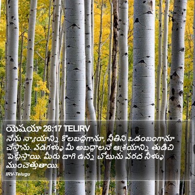 యెషయా 28:17 TELIRV Bible Verse Image