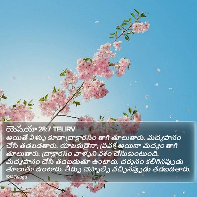 యెషయా 28:7 TELIRV Bible Verse Image