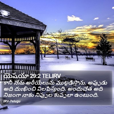 యెషయా 29:2 TELIRV Bible Verse Image