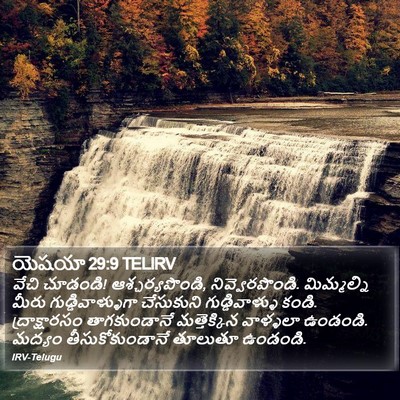 యెషయా 29:9 TELIRV Bible Verse Image